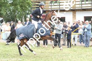 2025-07-27:  bei Reitturnier in Blowatz
