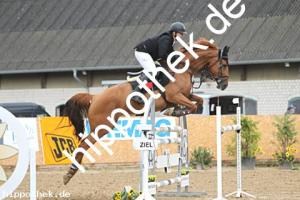 2025-08-03: Vinnypeach  bei Reitturnier in Cramon