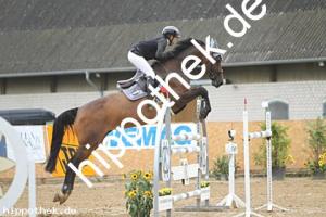 2025-08-03: Celeste de Trebox  bei Reitturnier in Cramon