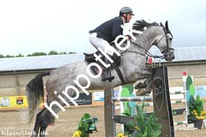 2025-08-03: Dwayne the Rock  bei Reitturnier in Cramon