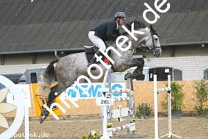 2025-08-03: Dwayne the Rock  bei Reitturnier in Cramon
