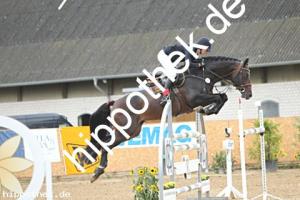 2025-08-03: Highscore  bei Reitturnier in Cramon