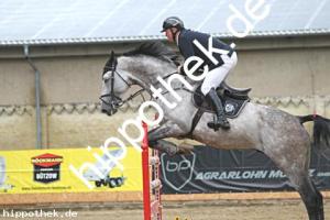 2025-08-03: Dwayne the Rock  bei Reitturnier in Cramon