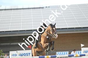 2025-08-31: Papperlapapp  bei Reitturnier in Redentin