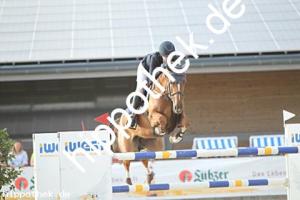 2025-08-31: Quintus VDK  bei Reitturnier in Redentin