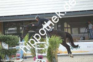 2025-08-31: Last Gentleman  bei Reitturnier in Redentin