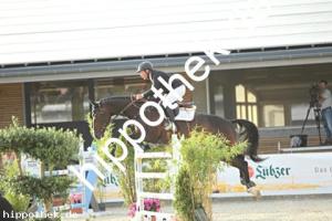 2025-08-31: Caillan  bei Reitturnier in Redentin