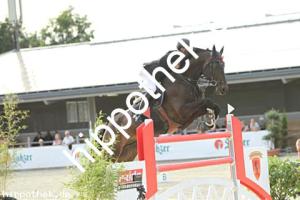 2025-08-31: Don Corleone Z  bei Reitturnier in Redentin