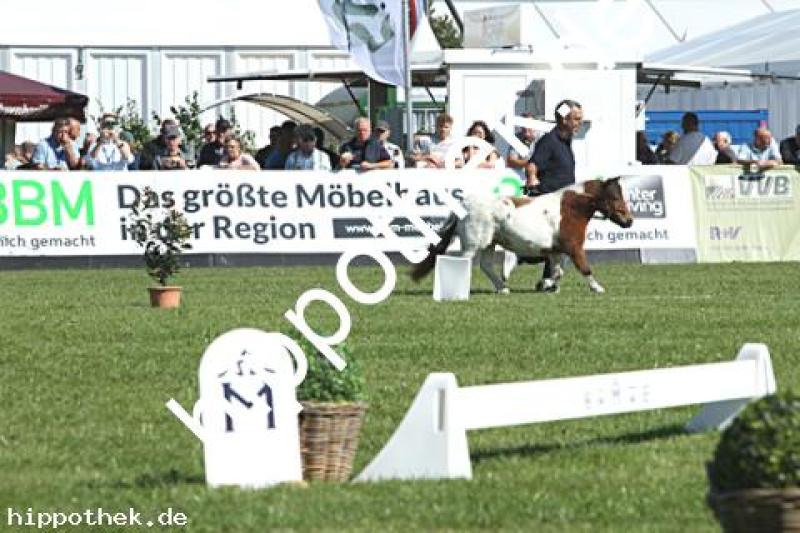 Landes-Elitestutenschau in Mühlengeez