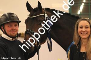 2025-12-06: Conthanos  bei Körung Warmblut in Redefin