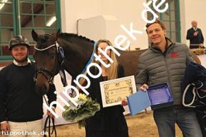 2025-12-06: Conthanos  bei Körung Warmblut in Redefin