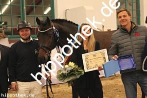 2025-12-06: Conthanos  bei Körung Warmblut in Redefin