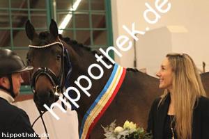 2025-12-06: Conthanos  bei Körung Warmblut in Redefin