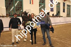 2025-12-06: Conthanos  bei Körung Warmblut in Redefin