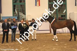 2025-12-06: Conthanos  bei Körung Warmblut in Redefin