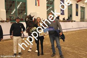 2025-12-06: Conthanos  bei Körung Warmblut in Redefin